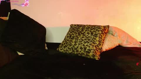 Snapshot of dulce_tara chatting on 12, 2, 2026 online show from 12, 2, 2026