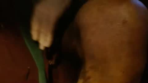 dunany101 online show from 26, 2, 2025