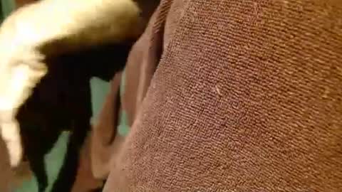 dunany101 online show from 5, 3, 2025