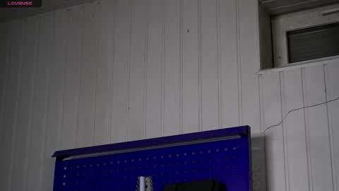 Snapshot of dustyn_fox chatting on 21, 11, 2025 Dustyn online show from 21, 11, 2025