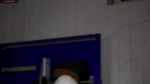 Snapshot of dustyn_fox chatting on 23, 11, 2025 Dustyn online show from 23, 11, 2025