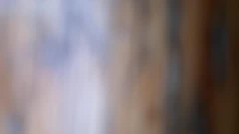 Snapshot of dvelope chatting on 26, 11, 2025 dVe1oPe online show from 26, 11, 2025