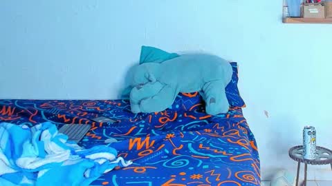 Dylan online show from 20, 2, 2026