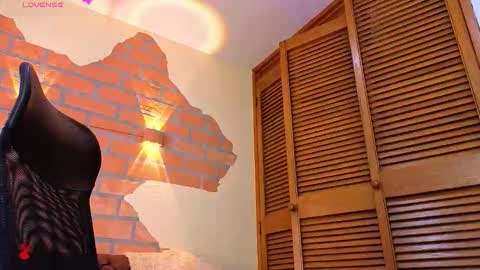 D Y L A N online show from 21, 12, 2025