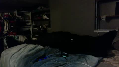 nastyboi801 online show from 23, 10, 2025