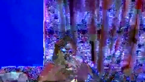 Snapshot of ebonybloom01 chatting on 20, 9, 2025 ebonybloom01 online show from 20, 9, 2025