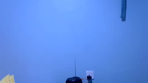 Snapshot of ebonybloom01 chatting on 26, 11, 2025 ebonybloom01 online show from 26, 11, 2025