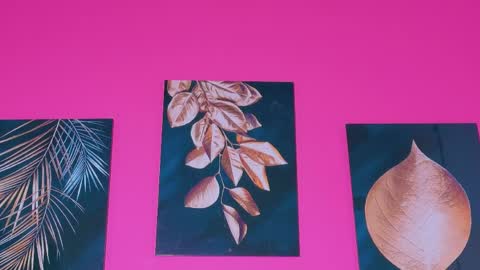 ebonyndsavage online show from 9, 4, 2026