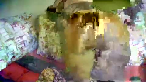 Snapshot of ebonyveda chatting on 14, 2, 2025 ebonyveda online show from 14, 2, 2025