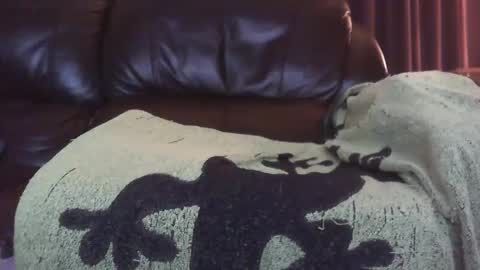 Snapshot of ectopicstarfish chatting on 13, 12, 2024 Ectopicstarfish online show from 13, 12, 2024