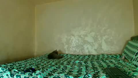 Nomyx  OF check online show from 14, 11, 2025