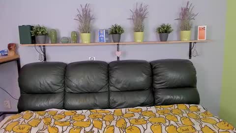 Edgar online show from 24, 2, 2026