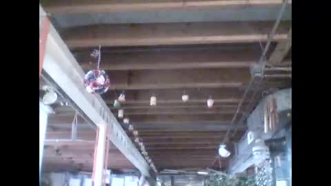 efriff online show from 18, 4, 2026