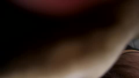 ehdgher online show from 21, 4, 2026