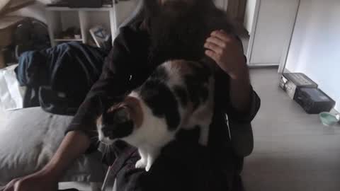 eighthundredeightyeight online show from 9, 11, 2025