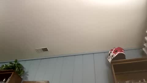 PiedPiper online show from 5, 4, 2026