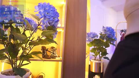 Elasummeer online show from 24, 11, 2025