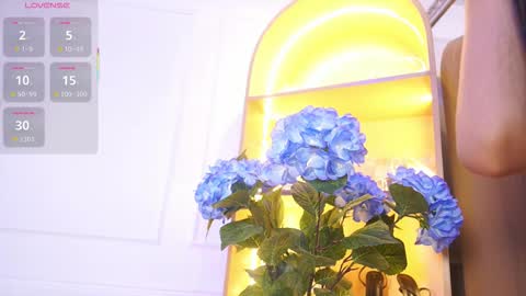 Elasummeer online show from 29, 11, 2025