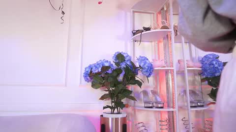 Elasummeer online show from 19, 2, 2026