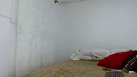 elektra online show from 16, 9, 2025