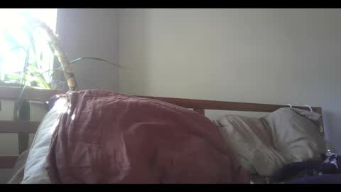 Snapshot of elephantfox chatting on 11, 2, 2025 fox online show from 11, 2, 2025