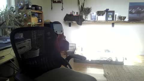 Snapshot of elephantfox chatting on 22, 6, 2026 fox online show from 22, 6, 2026