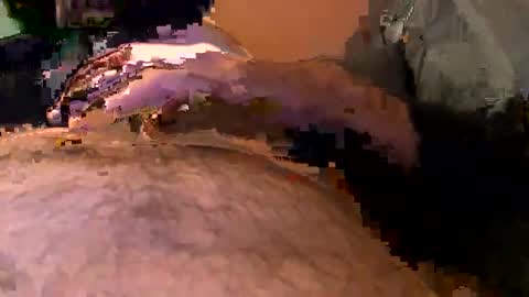 elgato66699 online show from 20, 4, 2026