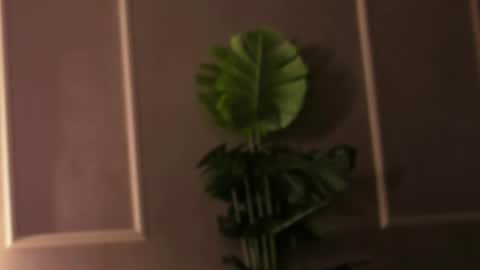 Eli online show from 18, 2, 2025