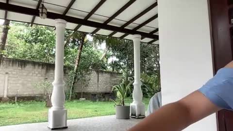   online show from 28, 1, 2025