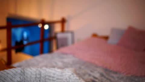 Sunflower  online show from 16, 1, 2026