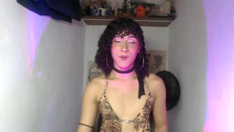  . online show from 3, 7, 2026
