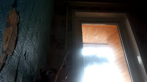 Alisa online show from 25, 4, 2026