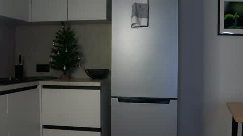 Snapshot of elvafoa chatting on 28, 1, 2025 Sophie online show from 28, 1, 2025