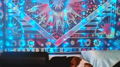 Snapshot of ember_starleena chatting on 24, 2, 2025 Ember Starleena online show from 24, 2, 2025