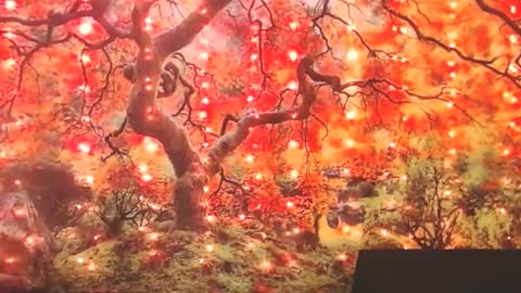 Snapshot of ember_starleena chatting on 30, 9, 2025 Ember Starleena online show from 30, 9, 2025