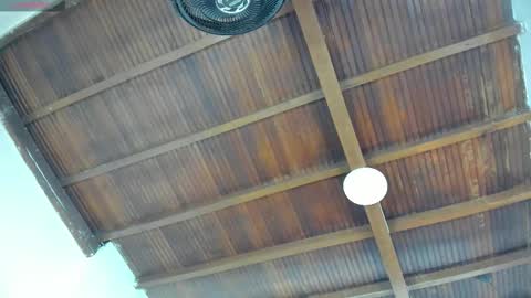 Emily  online show from 26, 9, 2025