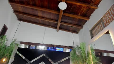 Emily  online show from 1, 11, 2025