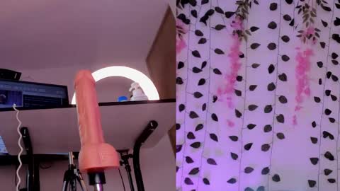 Snapshot of emily_montoya chatting on 26, 1, 2025 Emily online show from 26, 1, 2025