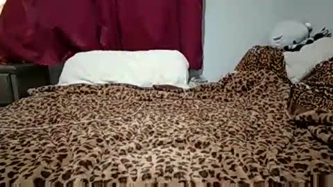 emilysparkss online show from 3, 11, 2025