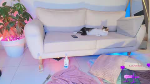 Snapshot of erotik_lady chatting on 29, 6, 2026 TINY online show from 29, 6, 2026