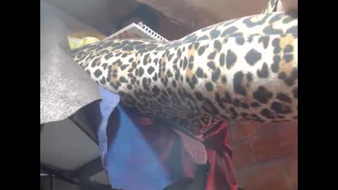 Eskela911 online show from 23, 3, 2026