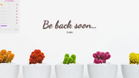 Eva online show from 21, 12, 2024