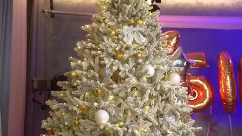 Eva online show from 28, 12, 2024