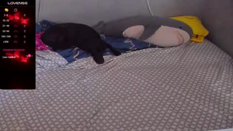 Eva online show from 20, 2, 2025