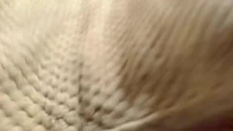 EVA  online show from 14, 12, 2024