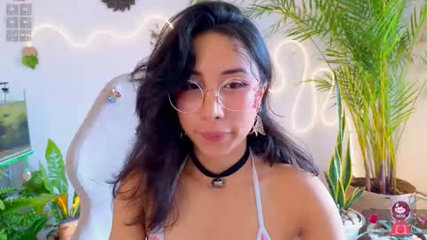 Im Eve or Chelle Next Stream 191224  online show from 11, 3, 2026