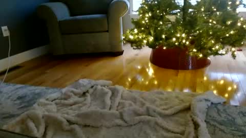 Everleighmae online show from 9, 12, 2024