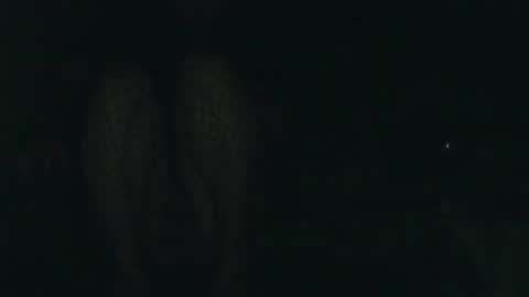 evermore8807 online show from 14, 12, 2025