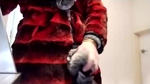 Snapshot of evesimmons chatting on 22, 10, 2025 evesimmons online show from 22, 10, 2025