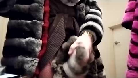 Snapshot of evesimmons chatting on 27, 10, 2025 evesimmons online show from 27, 10, 2025